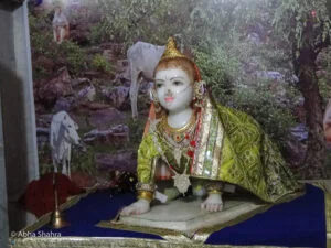 Vrindavan Darshan
