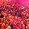 Holi Vrindavan Darshan