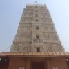Vrindavan Darshan