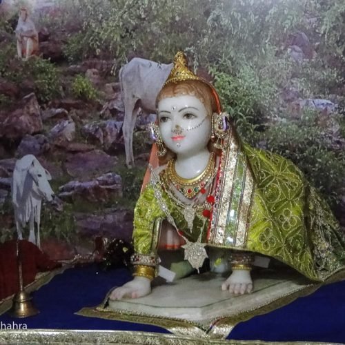 Vrindavan Darshan